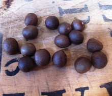 AUSTRALIAN TEA SEEDS