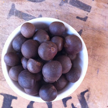 AUSTRALIAN TEA SEEDS